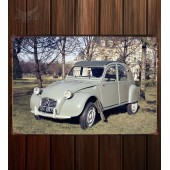 Металлическая табличка Citroen 2CV